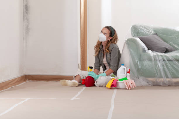 Reliable Mold Inspection And Testing contractor in Elmwood Park, NJ by Car Mold Remediation